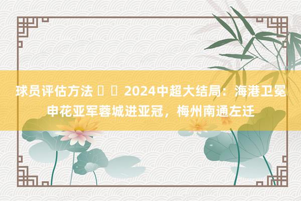 球员评估方法 ⭐️2024中超大结局：海港卫冕申花亚军蓉城进亚冠，梅州南通左迁