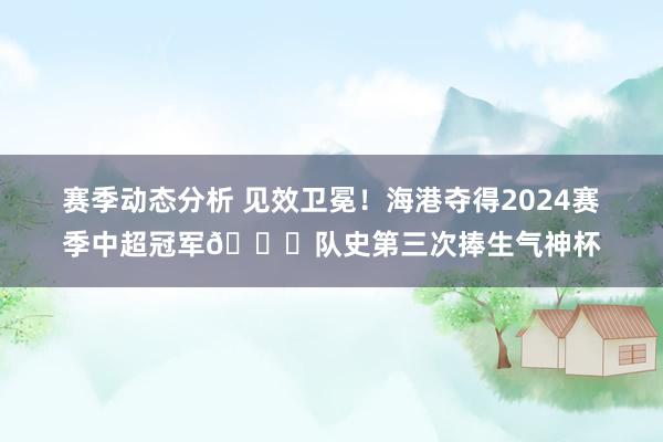 赛季动态分析 见效卫冕！海港夺得2024赛季中超冠军🏆队史第三次捧生气神杯