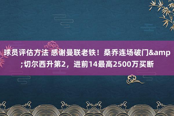 球员评估方法 感谢曼联老铁！桑乔连场破门&切尔西升第2，进前14最高2500万买断