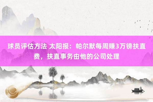 球员评估方法 太阳报：帕尔默每周赚3万镑扶直费，扶直事务由他的公司处理