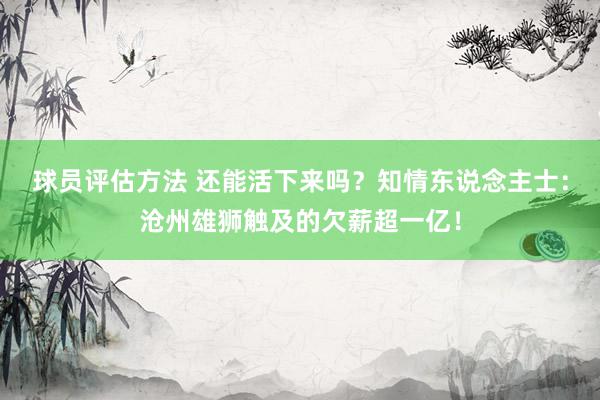 球员评估方法 还能活下来吗？知情东说念主士：沧州雄狮触及的欠薪超一亿！